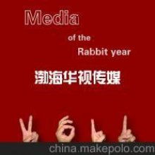 廣告傳媒 塑造現代商業與文化的無形之手